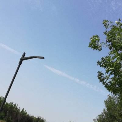 宝可梦大探险虫虫版下载